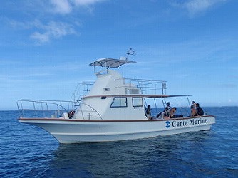 5tタイプ8 ラポート